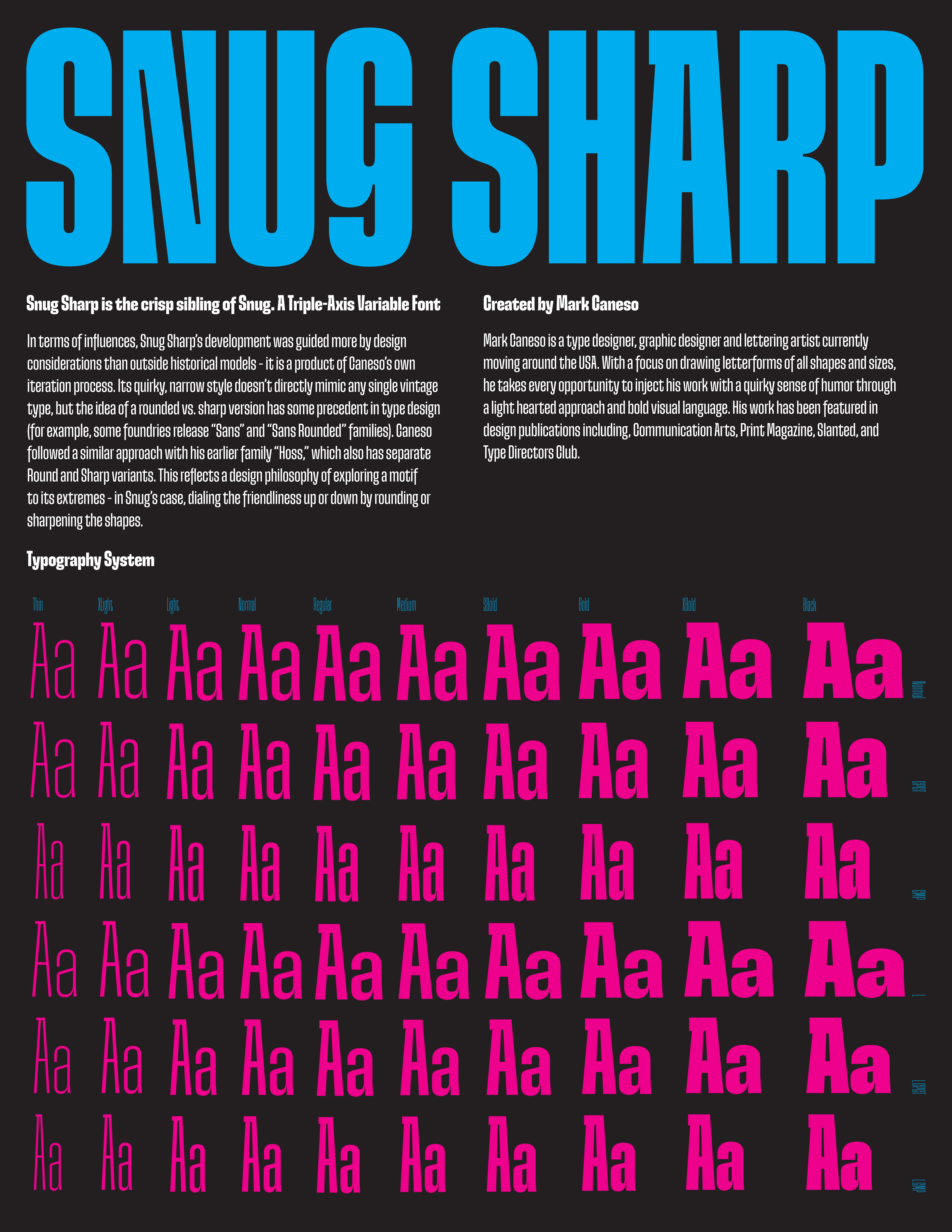 Type Specimen Post 3